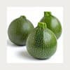 COURGETTE RONDE