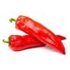 POIVRON ROUGE