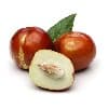 JUJUBE