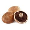 CHAMPIGNON PORTOBELLO